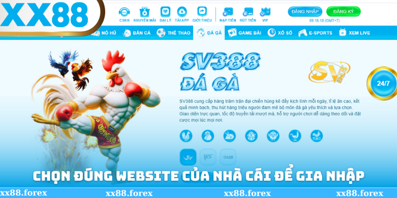 Chọn đúng trang mới thao tác đăng ký